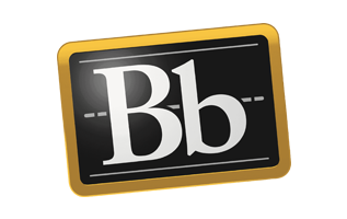 Partner b